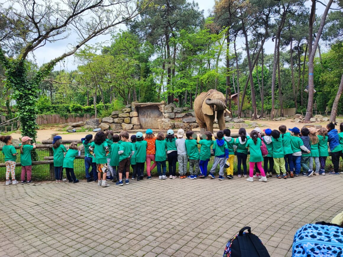 Voyage au zoo de la Flèche avec les GS