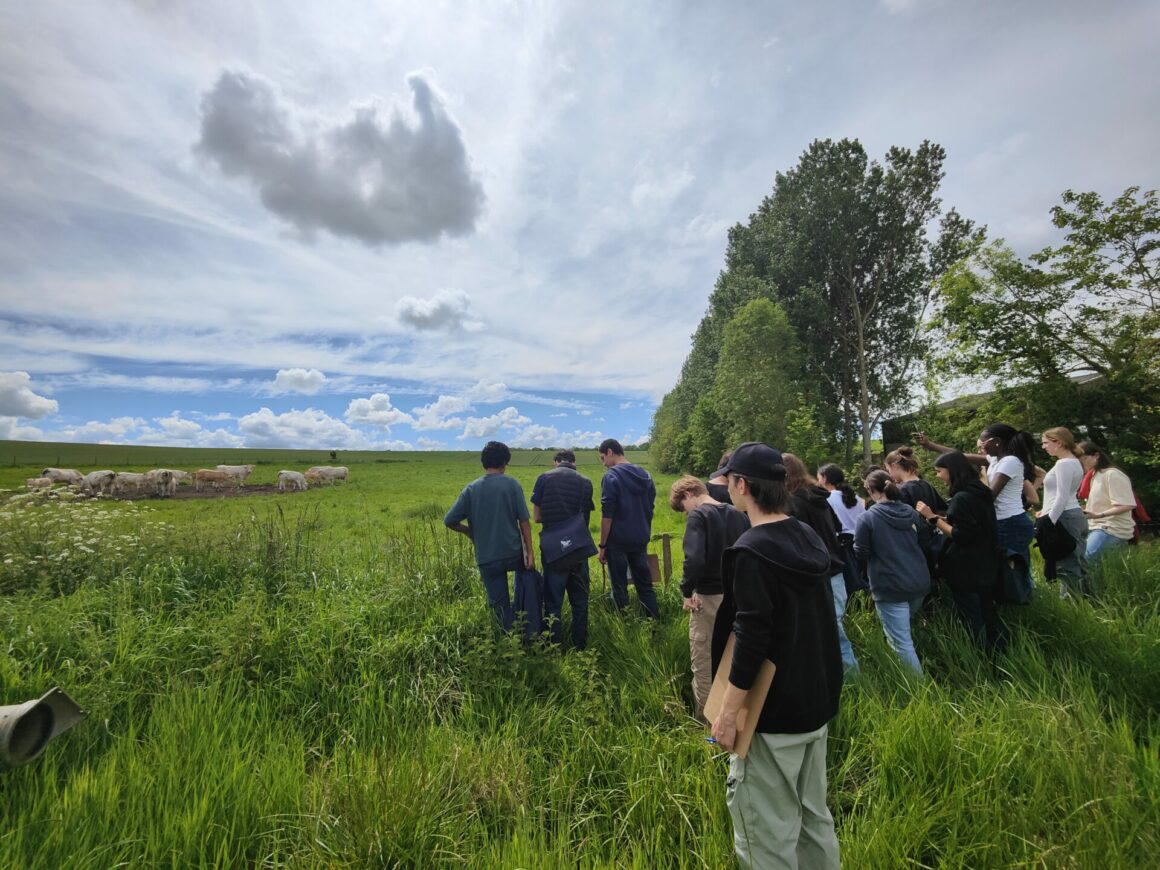 Une journée à la ferme Ludibio pour les élèves de Seconde
