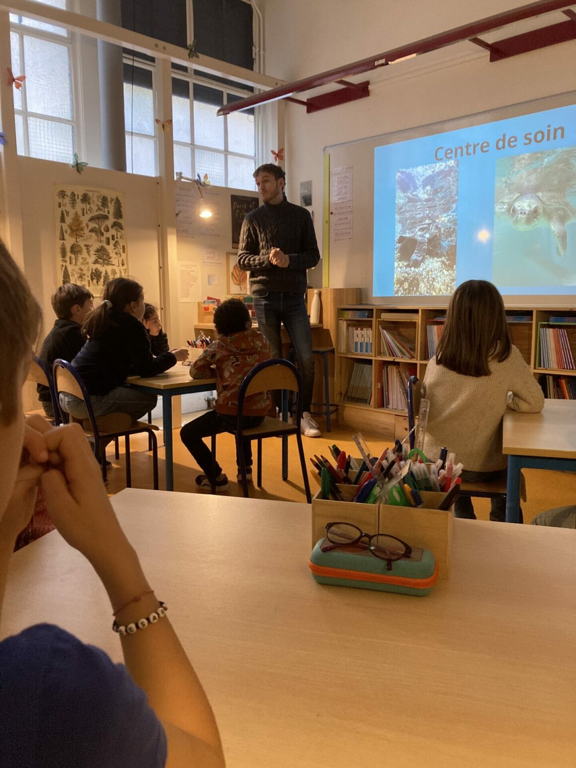 Intervention d’un biologiste marin en CE1C