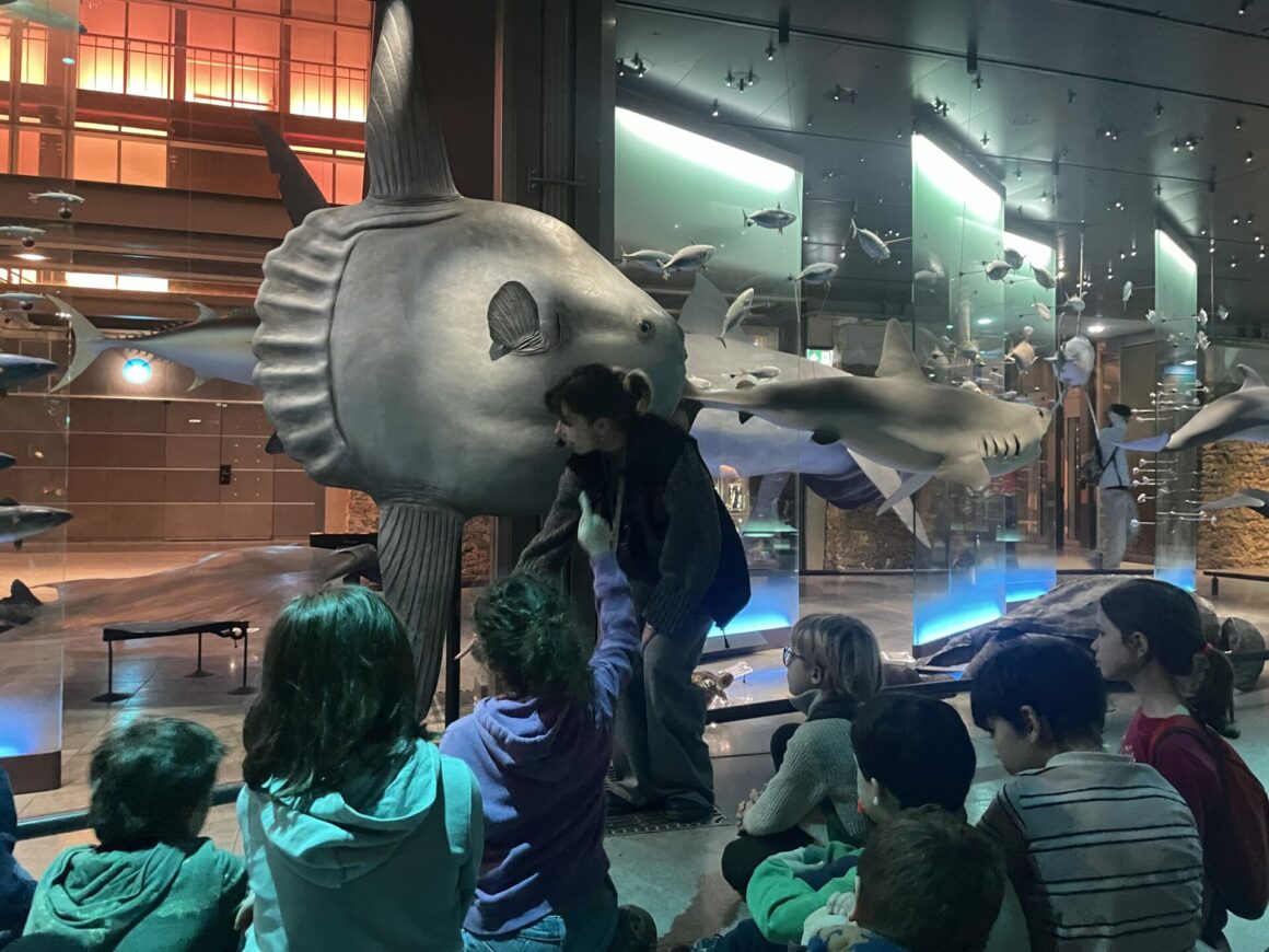 Les CE2A a la Galerie de l&rsquo;Evolution