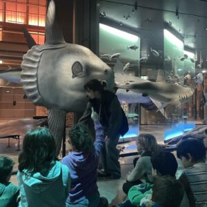 Les CE2A a la Galerie de l&rsquo;Evolution