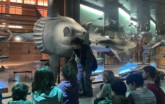 Les CE2A a la Galerie de l&rsquo;Evolution