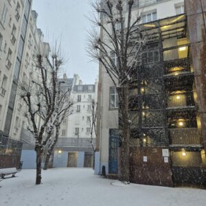 Balades hivernales et cour enneigée