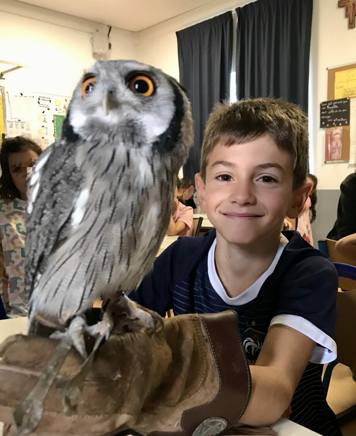 IMG_20261020_095726 Les rapaces en CE2B